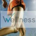 Wellness Gym