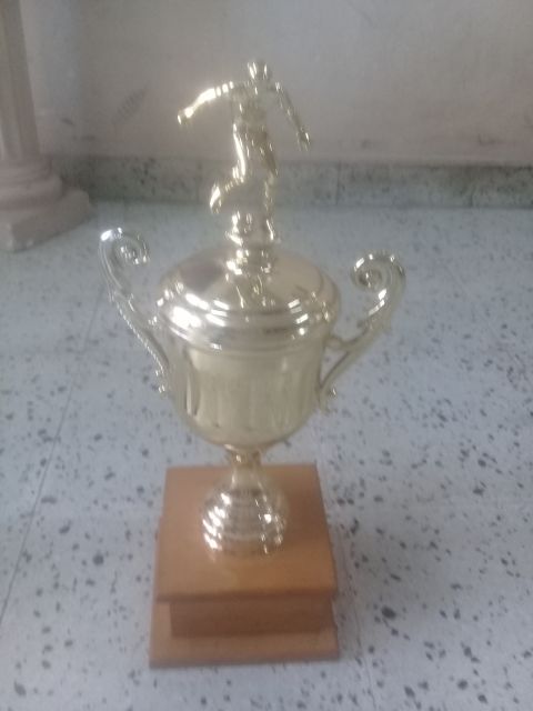 Foto 14