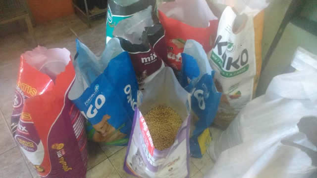 Foto 14