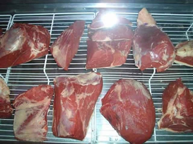 Foto 8
