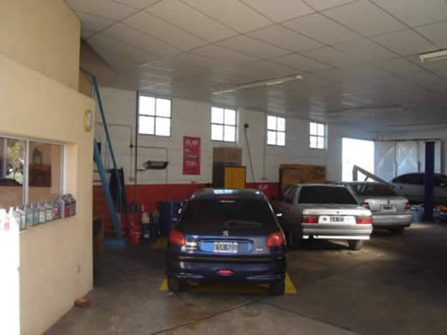 Foto 7