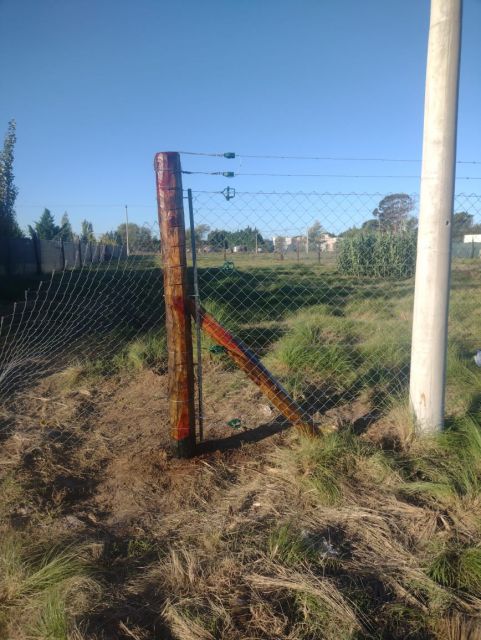 Foto 13