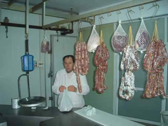 Foto 7