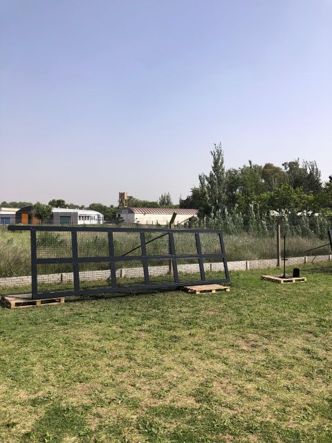 Foto 11