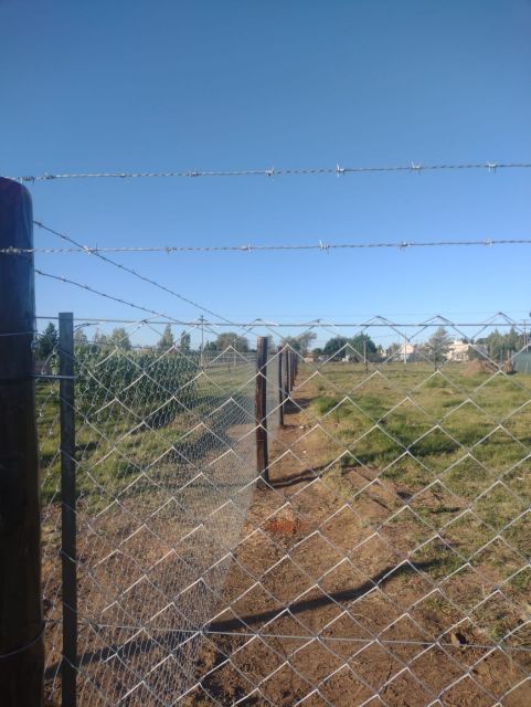 Foto 0