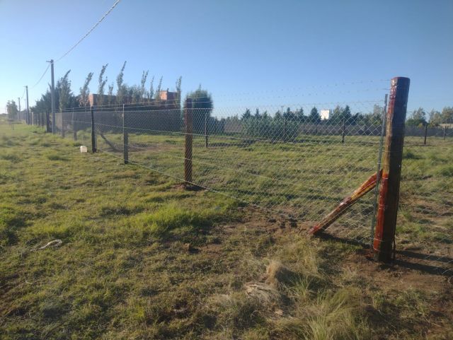 Foto 11