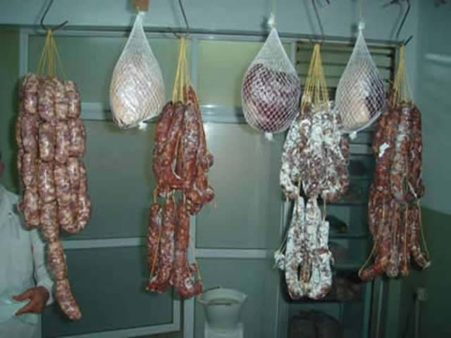 Foto 6