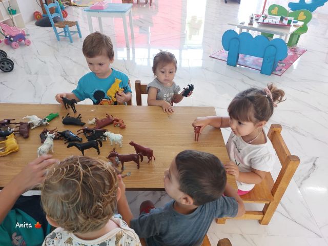 Foto 8
