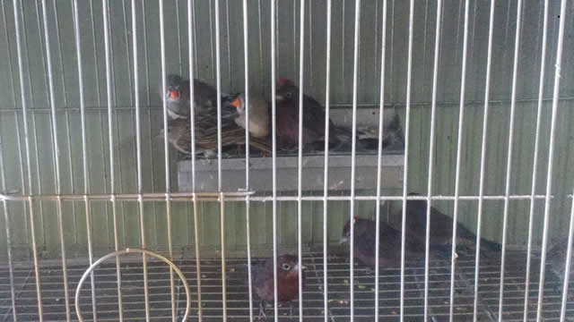 Foto 18