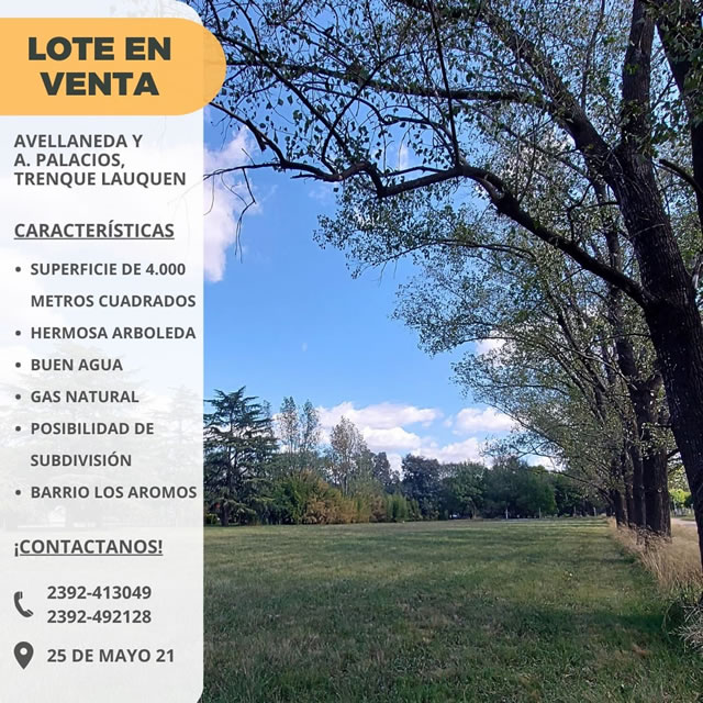 Foto 14
