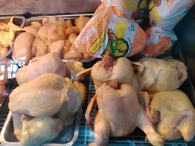 Foto 15