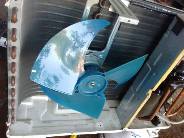 Foto 14