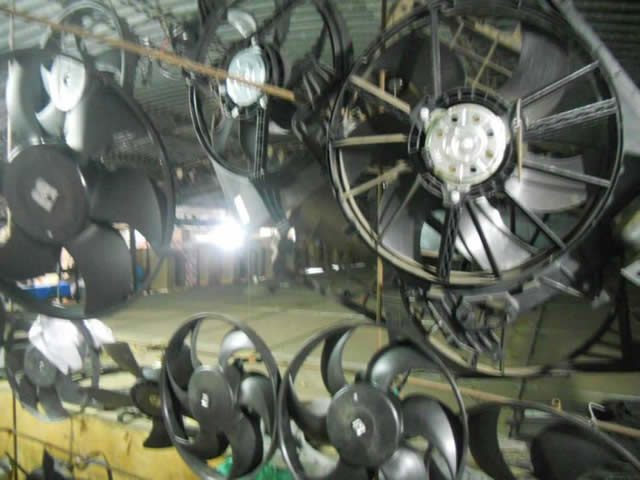Foto 41