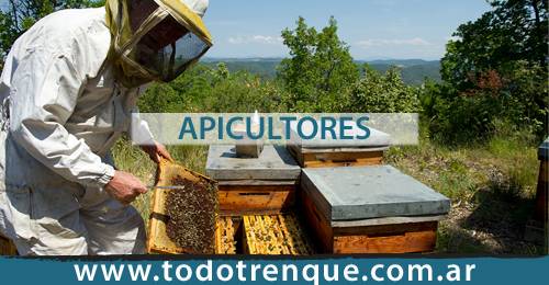 Apicultores en Trenque Lauquen
