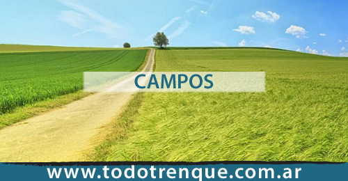 Campos en Trenque Lauquen