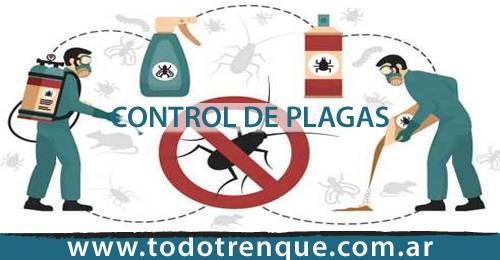 Control de Plagas en Trenque Lauquen