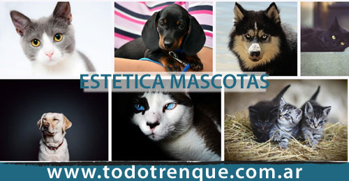 Estéticas Mascotas en Trenque Lauquen
