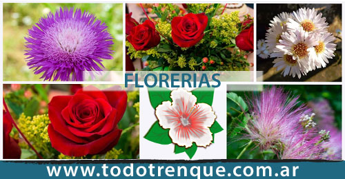 Florerías en Trenque Lauquen