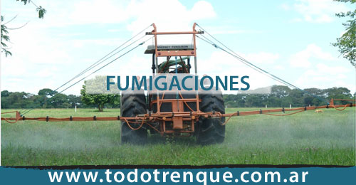 Fumigaciones en Trenque Lauquen