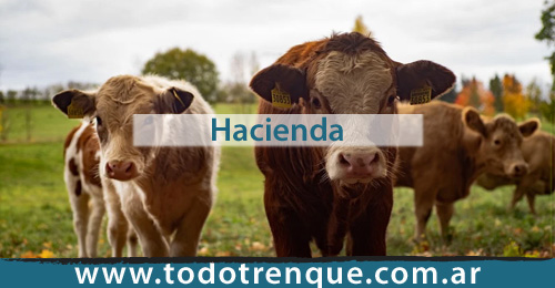 Hacienda en Trenque Lauquen