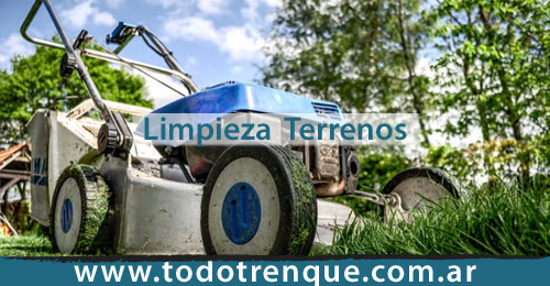 Limpieza de Terrenos en Trenque Lauquen