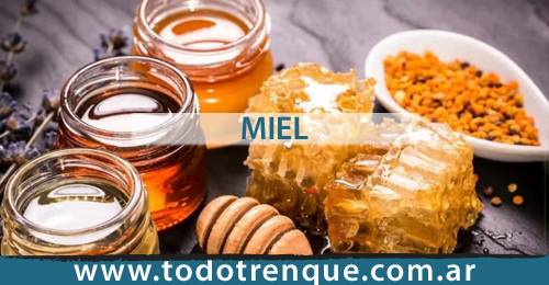 Miel en Trenque Lauquen