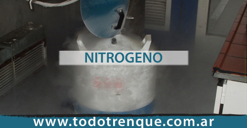 Nitrógeno en Trenque Lauquen