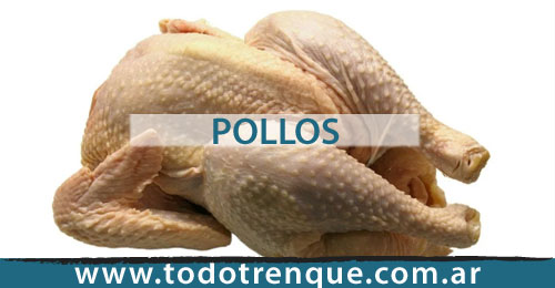 Pollos en Trenque Lauquen