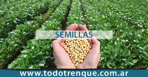 Semillas en Trenque Lauquen