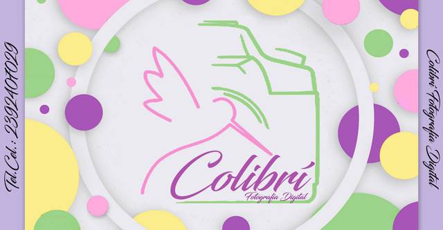 Colibri - Fotografia Digital