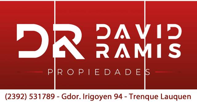 David Ramis Propiedades