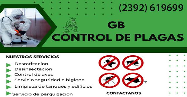 GB Control de Plagas