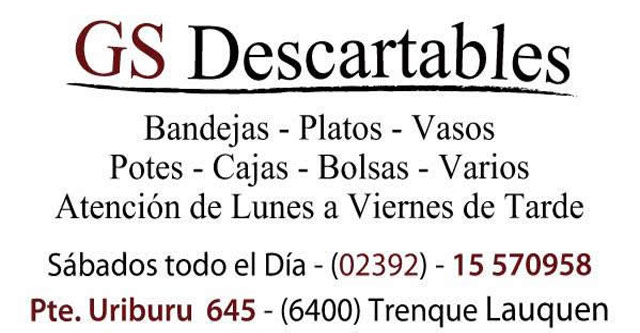 GS Descartables