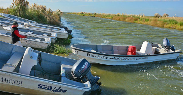 Matias Fernandez Guía Pesca Embarcada