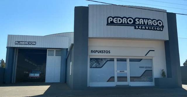 Pedro Sayago Servicios